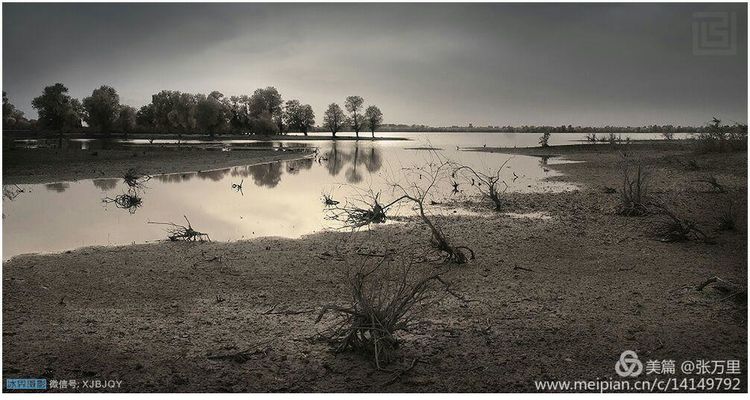 美丽*疆新**100张——美在雪山，美在草原，美在戈壁，美在心灵！