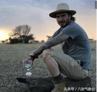 贝克汉姆：比和小七玩亲亲，网友关注点却是他的纹身，满满都是爱