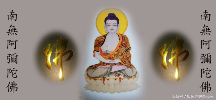 瑙傜粡瀵艰,瑙傜粡鍗佸垯