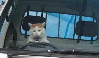 职场表情包朋友圈,职场表情包套装