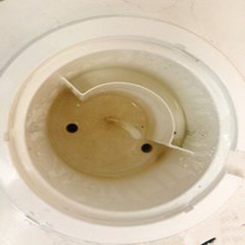 饮水机长期不清洗有多脏,饮水机脏了怎么清洗教你一招