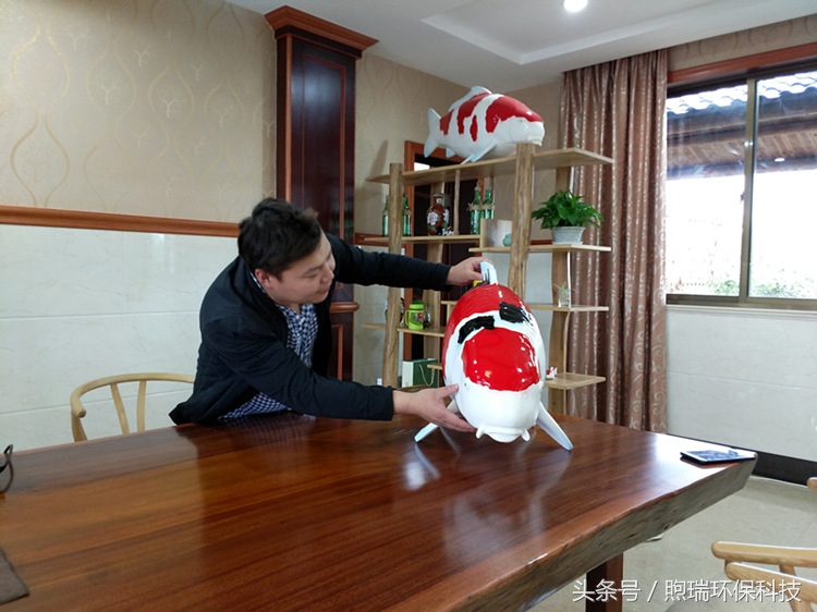 我宁愿化做池塘里的一尾锦鳞，不畏浮云，不惧声色，不问世俗！