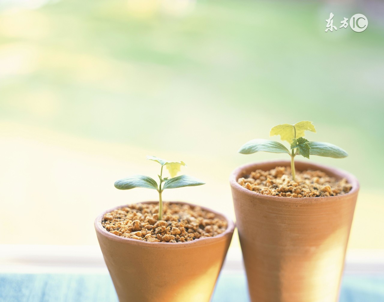 晒黑快速美白的小妙招,被晒黑后怎么快速美白的妙招