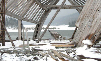 又见影视剧组破坏*物文**拍戏缘何成为“杀手”快看