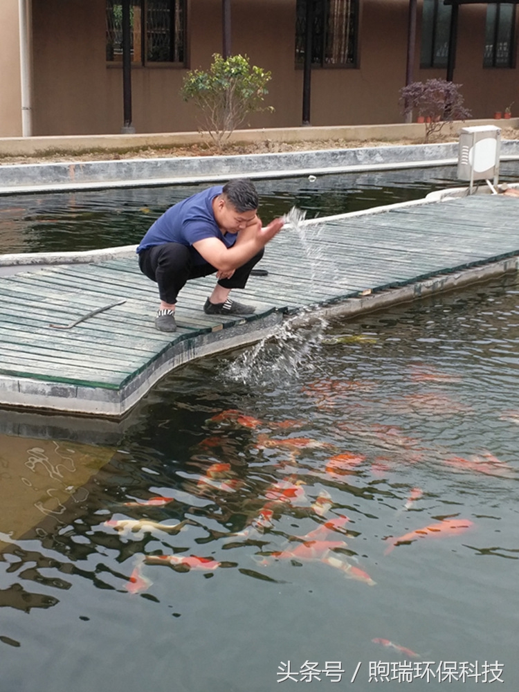 我宁愿化做池塘里的一尾锦鳞，不畏浮云，不惧声色，不问世俗！