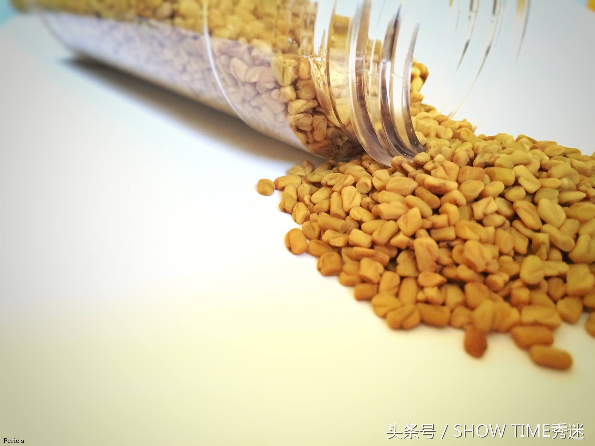 狗粮的历史真相,狗粮故事大全100个