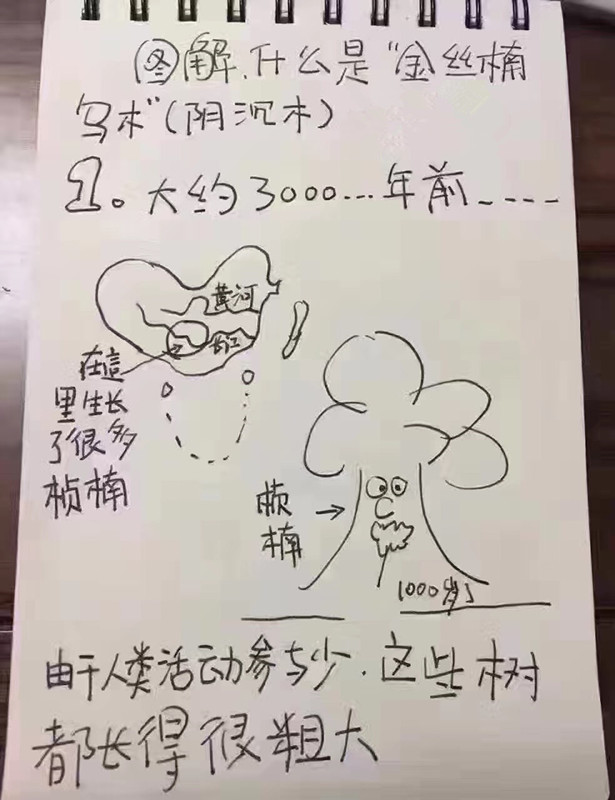 金丝楠乌木是怎么形成的,金丝楠木为什么会变成乌木