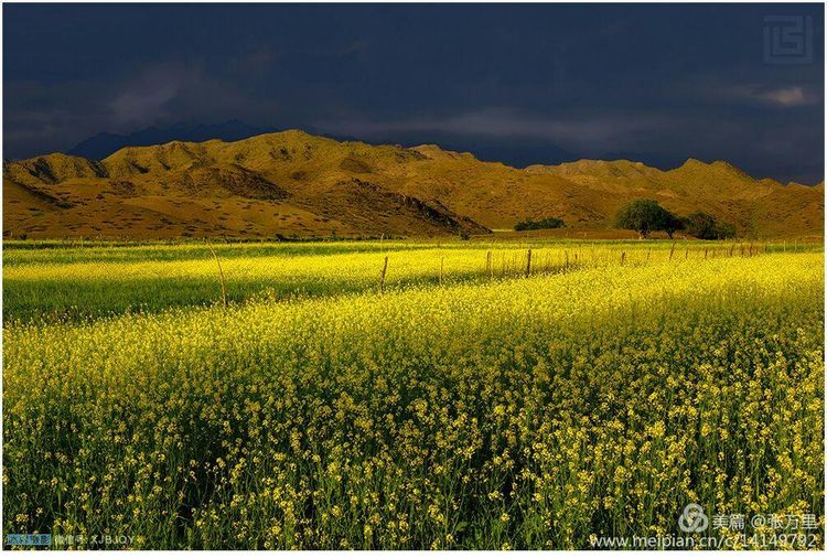 美丽*疆新**100张——美在雪山，美在草原，美在戈壁，美在心灵！