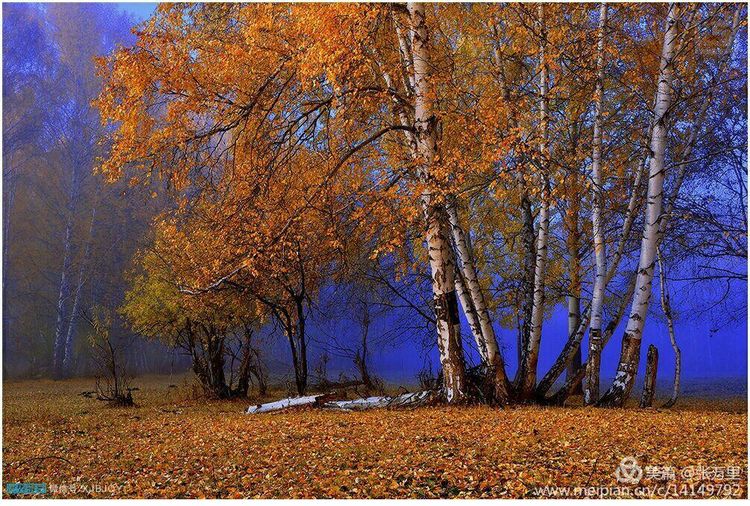 美丽*疆新**100张——美在雪山，美在草原，美在戈壁，美在心灵！