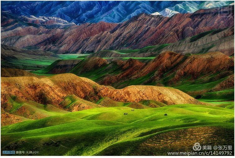 美丽*疆新**100张——美在雪山，美在草原，美在戈壁，美在心灵！