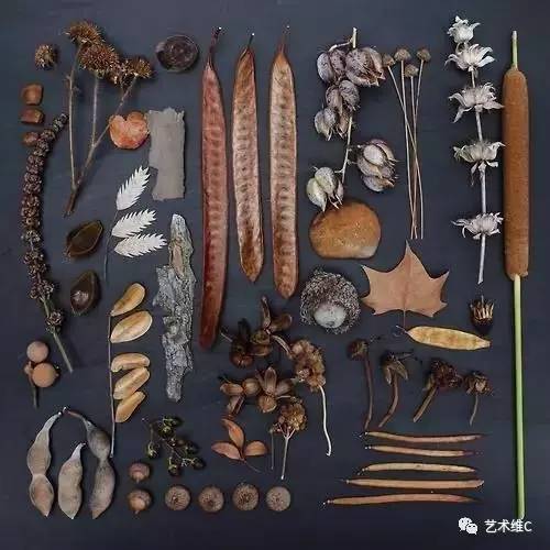 你猜猜，几百年前人们是怎么收藏的？