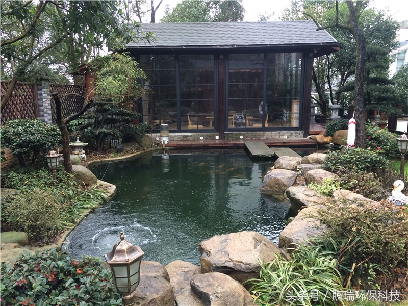 我宁愿化做池塘里的一尾锦鳞，不畏浮云，不惧声色，不问世俗！