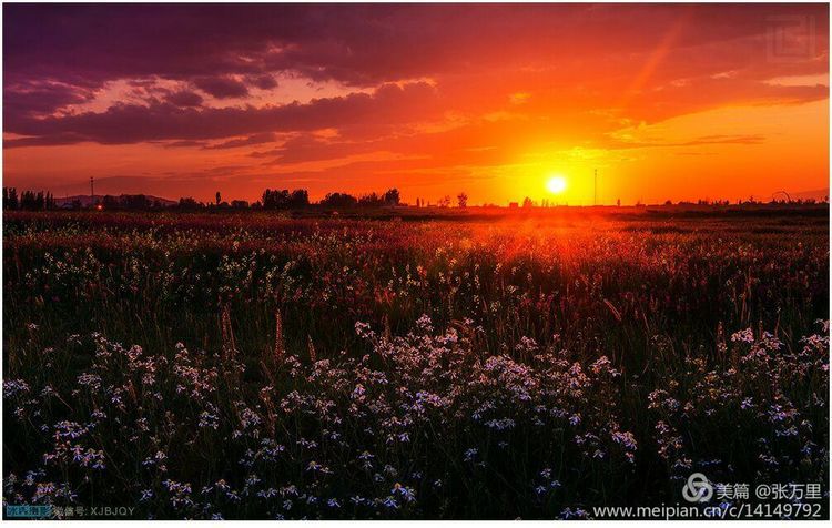 美丽*疆新**100张——美在雪山，美在草原，美在戈壁，美在心灵！