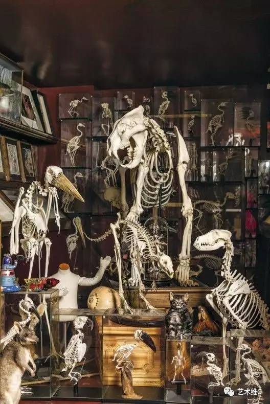 你猜猜，几百年前人们是怎么收藏的？