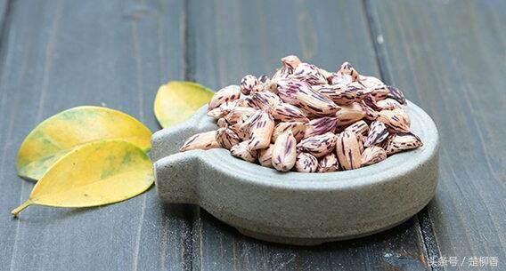 它曾是古代皇帝吃的菜,傣族王室贡品欣赏