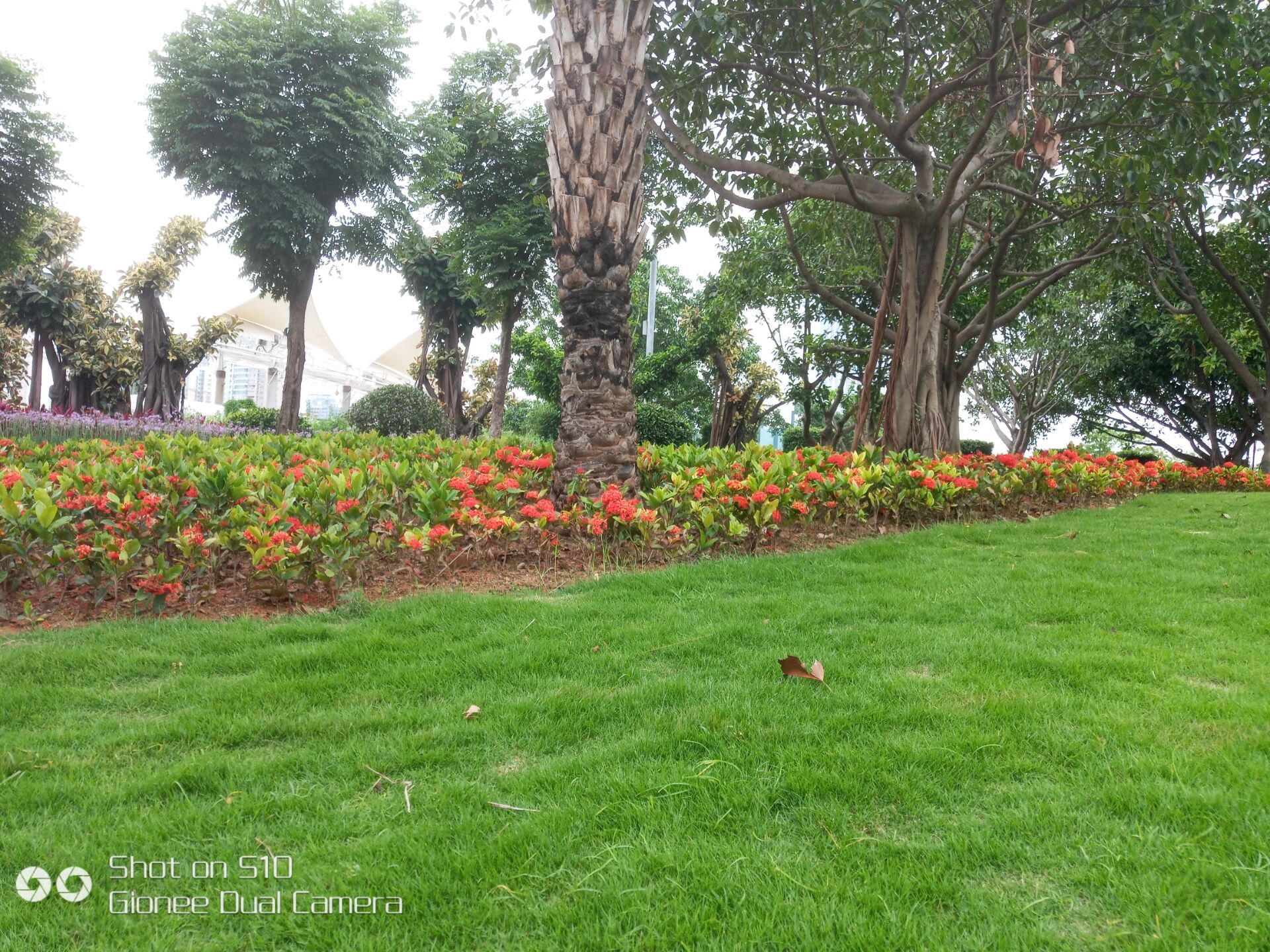 金立s10四摄怎么用,金立S10四摄什么作用