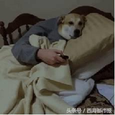 青海人冬季怎么过,青海人冬天是怎样过的