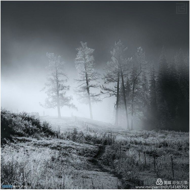 美丽*疆新**100张——美在雪山，美在草原，美在戈壁，美在心灵！