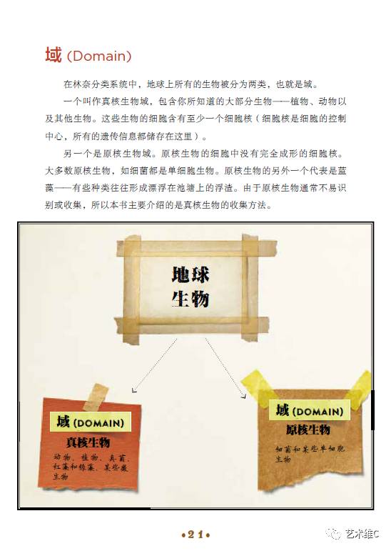 你猜猜，几百年前人们是怎么收藏的？