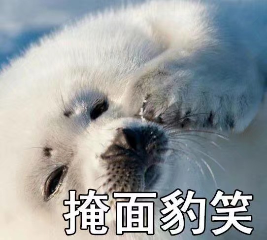 耐克发c罗的照片,令人窒息的庆祝动作