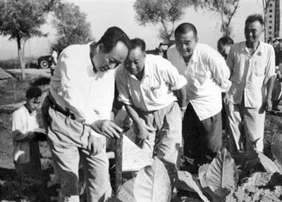 毛主席称这个地方为烟叶王国