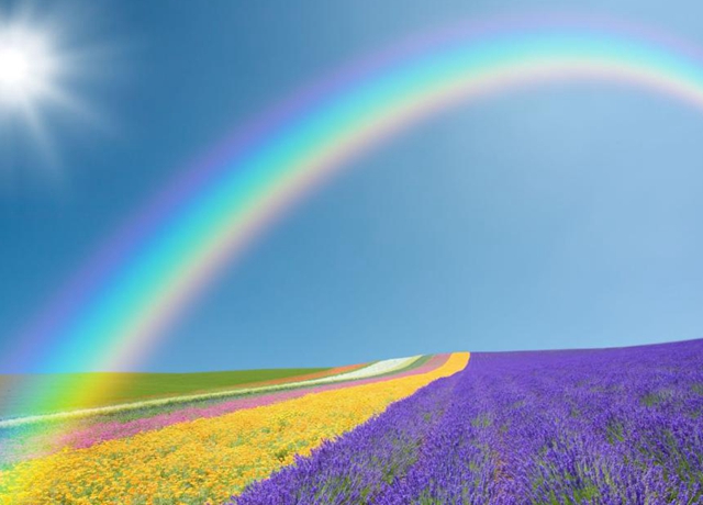 适合发朋友圈的感悟人生句子短句,适合发朋友圈的人生感悟经典语录