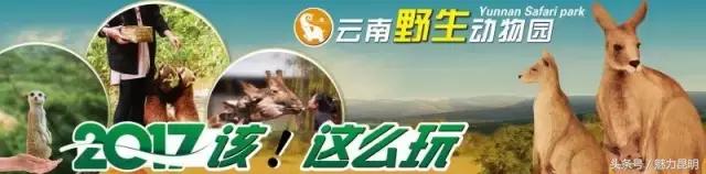 昆明必吃的十大餐厅,昆明最贵最高档的餐厅