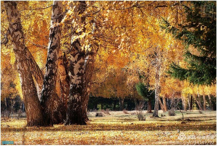 美丽*疆新**100张——美在雪山，美在草原，美在戈壁，美在心灵！