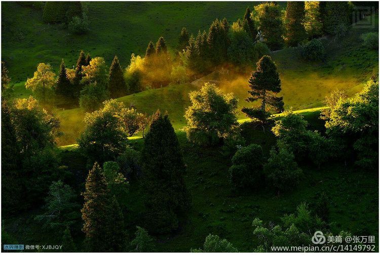 美丽*疆新**100张——美在雪山，美在草原，美在戈壁，美在心灵！