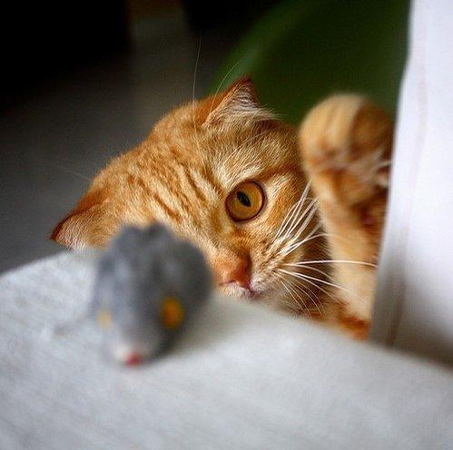 适合发朋友圈有意义的句子短句,十大适合发朋友圈的经典句子