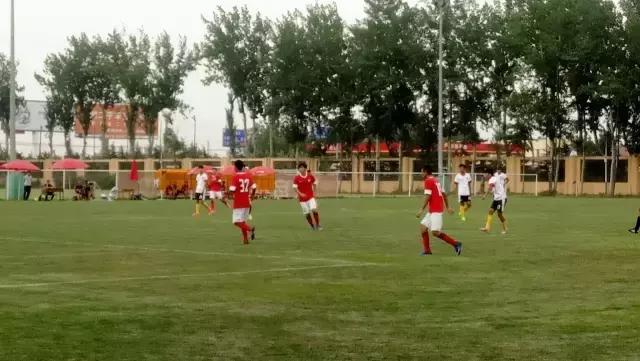 灞变笢椴佽兘娉板北vs闈掑矝涓兘2021,2013璧涘闈掑矝涓兘vs灞变笢椴佽兘鎵撴灦