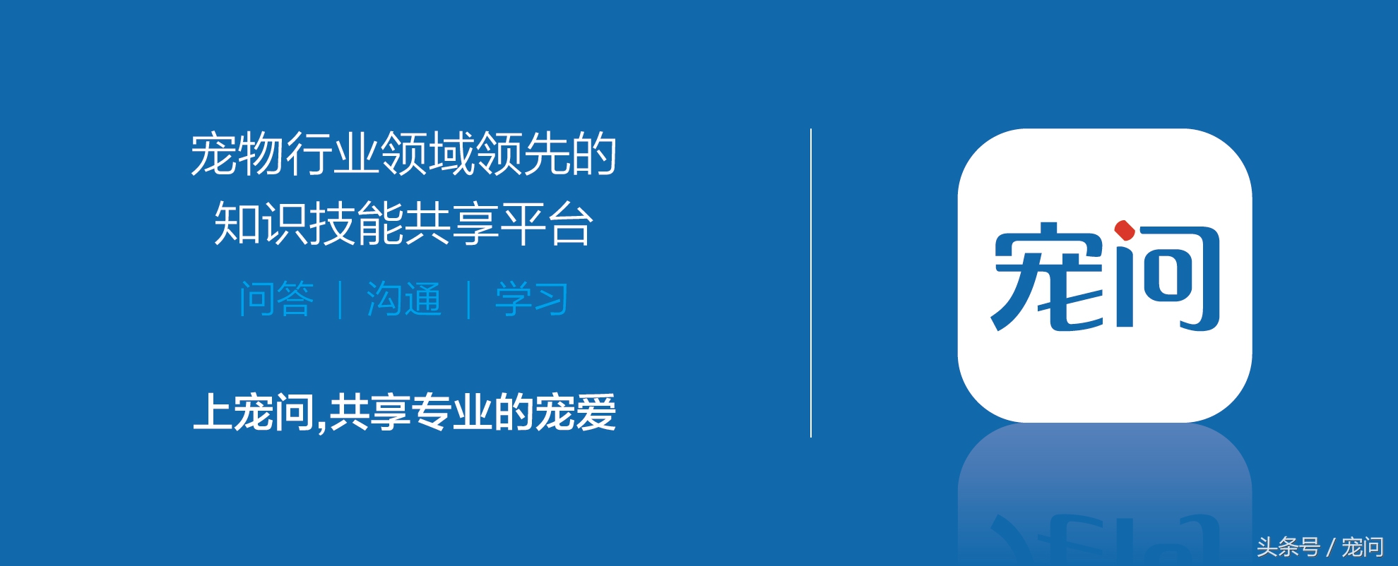 接种狂犬疫苗为什么那么多告知书,中国对狂犬疫苗的误解