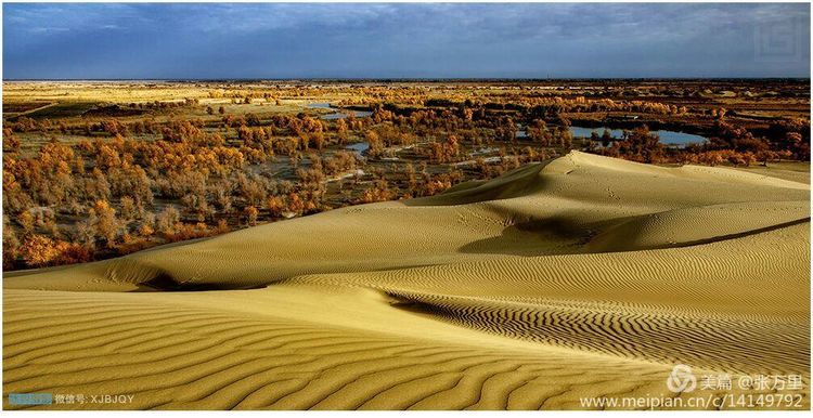 美丽*疆新**100张——美在雪山，美在草原，美在戈壁，美在心灵！
