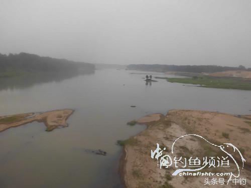 野河深秋降温后钓鲫鱼,冬钓鲫阴雨天怎样钓