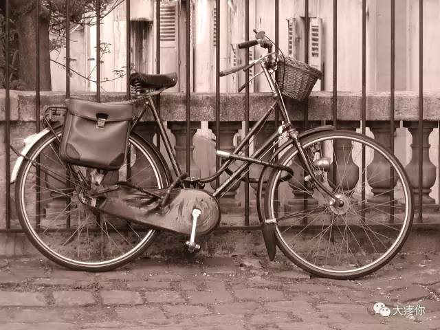 老司机满分作文,满分作文高考范文开车