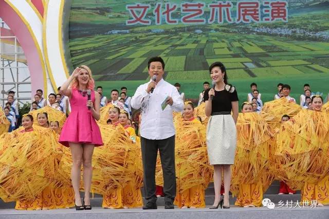 第十六届农村文化艺术节,第二届全国农民文化艺术节