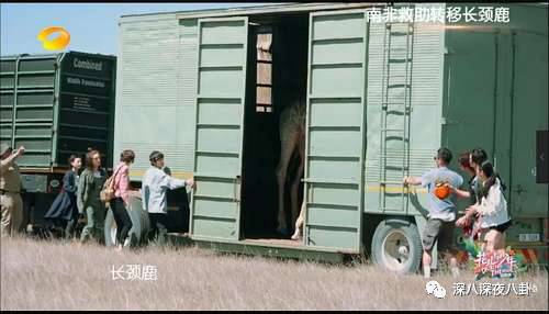 陈柏霖的演技总是让人回味无穷,陈柏霖帅男