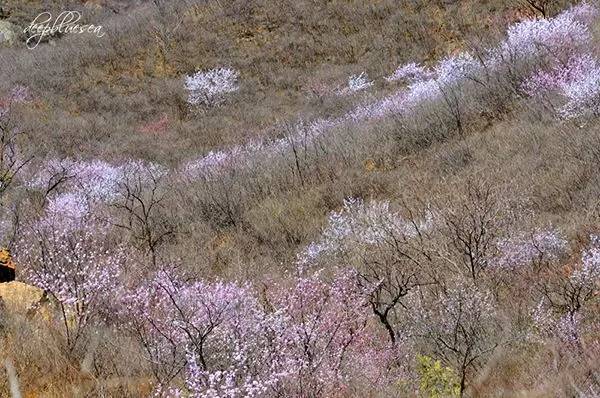 不服不行乐视,不服不行山西