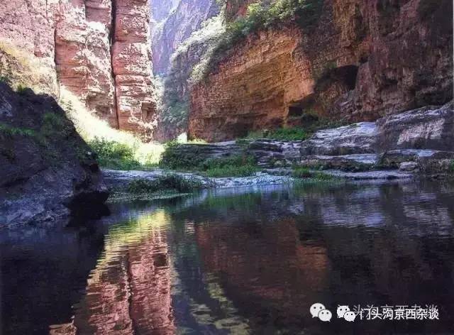 不服不行乐视,不服不行山西