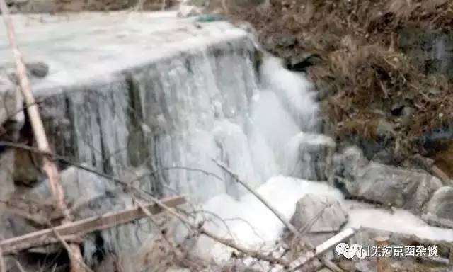 不服不行乐视,不服不行山西