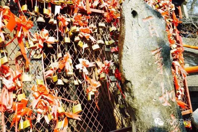 不服不行乐视,不服不行山西