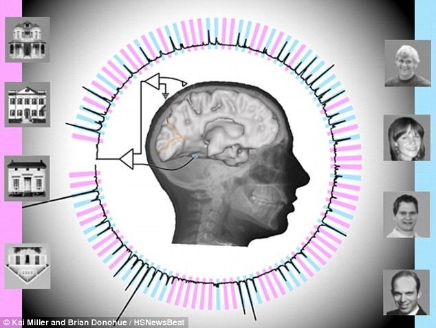 读心术、刷脑纹关于脑电波的这些电影情节竟然是真的！