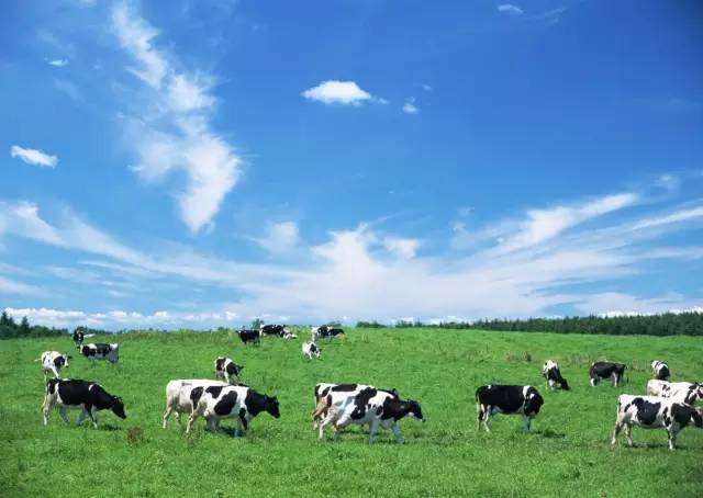 德国奶粉排行榜10强奶粉测评,德国原装进口奶粉品牌排行榜