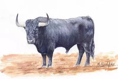 这只旷野露JJ黑牛是如何逆袭成西班牙文化符号的？认识板鸭圣斗牛