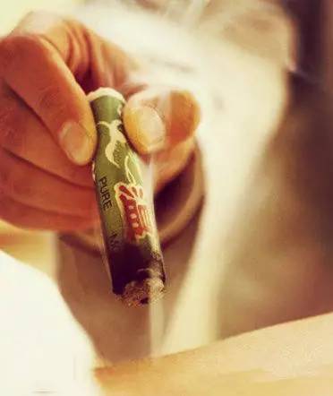 端午艾草养生图片,端午挂艾草祝大家端午安康