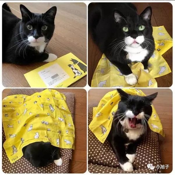 女人过了25岁就贬值？这个日本萌奶奶告诉你：60岁当时尚博主也不晚！