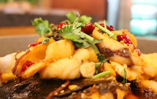 史无前例！秒杀吃鱼！这锅鱼的味道，猫和你都想知道！