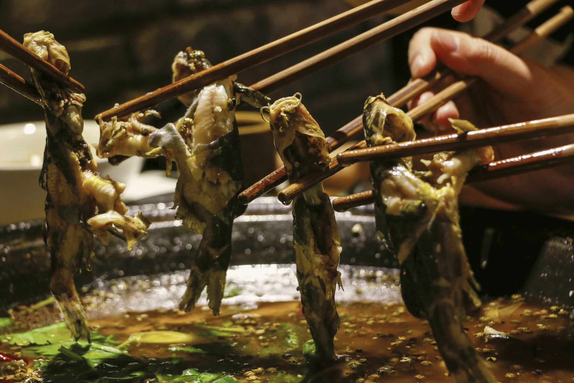 闈欒哀灏忛櫌涓村畨,闈欒哀灏忛櫌鏄嗘槑