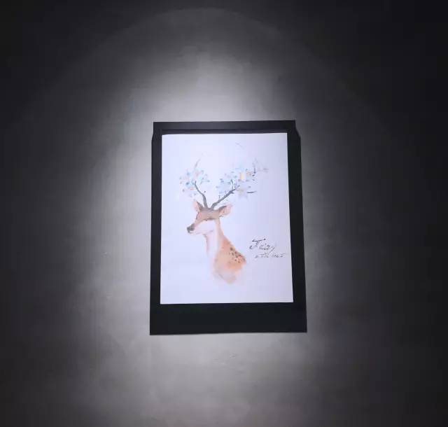 史无前例！秒杀吃鱼！这锅鱼的味道，猫和你都想知道！