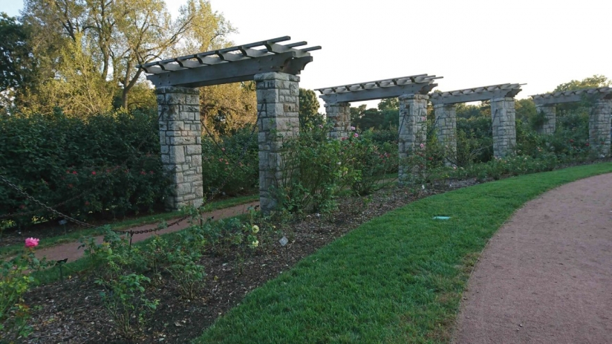 索尼xperia1iii对比三星s21u,小内存